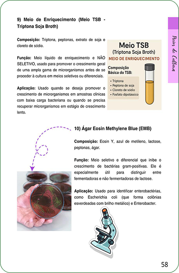 Jaqueline_-_Bacteriologia_Clínica_3_-_webp[1]