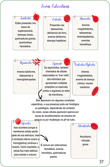 Jaqueline_-__Hematologia_clínica_2_-_webp[1]