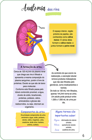 Jaqueline_-__Urianálises_1_-_webp[1]